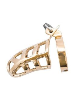 Brutal Stainless Steel Chastity Cage: Peniskäfig, gold